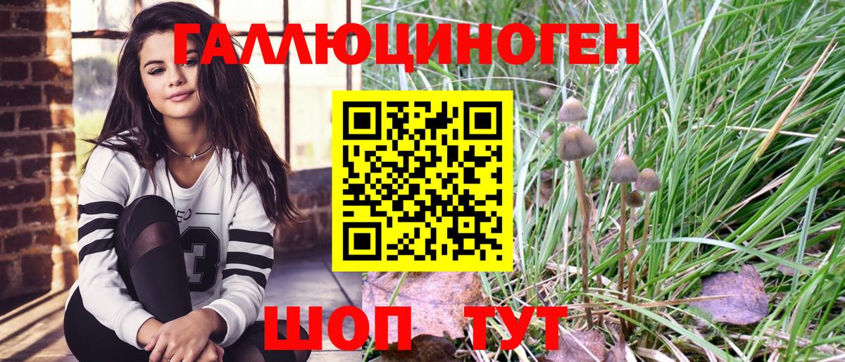 Галлюциногенные грибы GOLDEN TEACHER Аргун